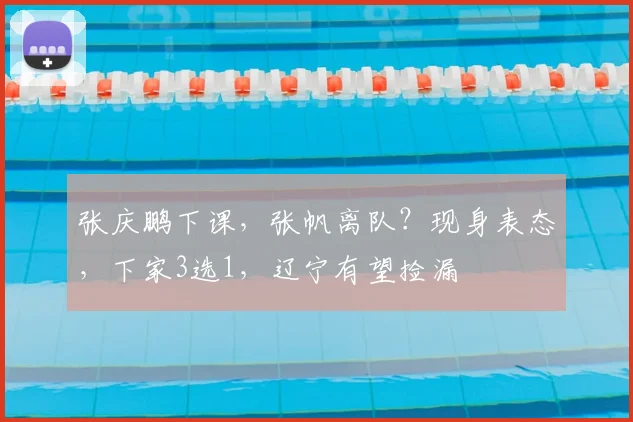 张庆鹏下课,张帆离队?现身表态,下家3选1,辽宁有望捡漏